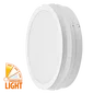flat ceiling light
